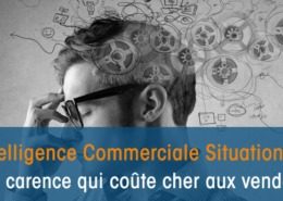 L'intelligence Commerciale Situationnelle