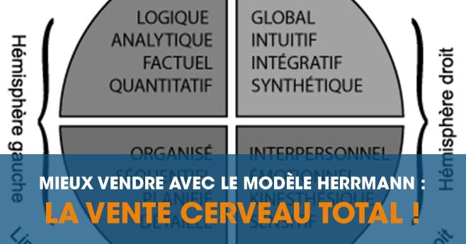 HBDI modéle HERMANN vente cerveau total