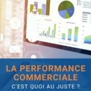 performance commerciale